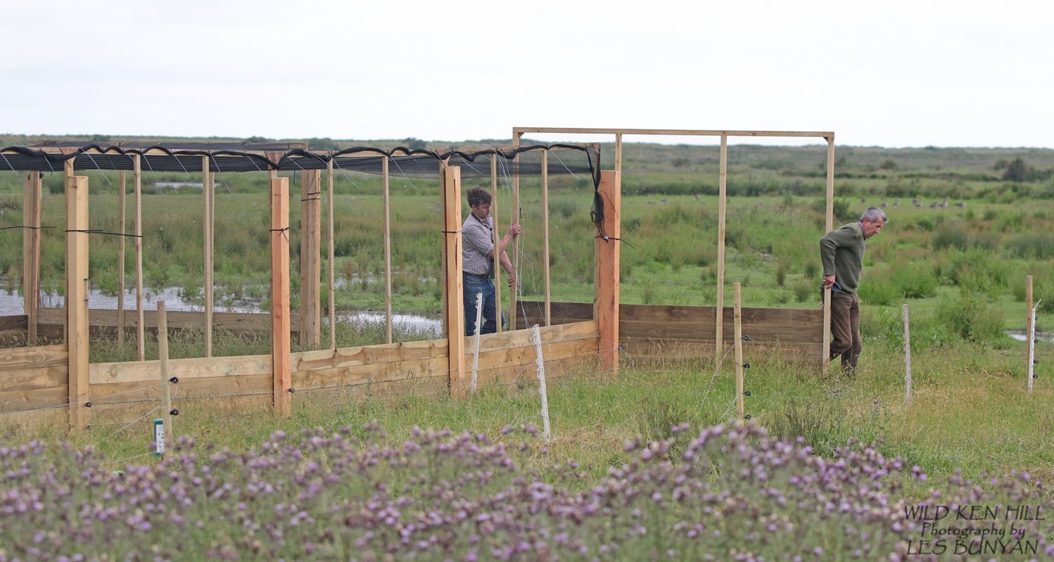 Image shows civilians building a wooden bird structure in grasslands.
