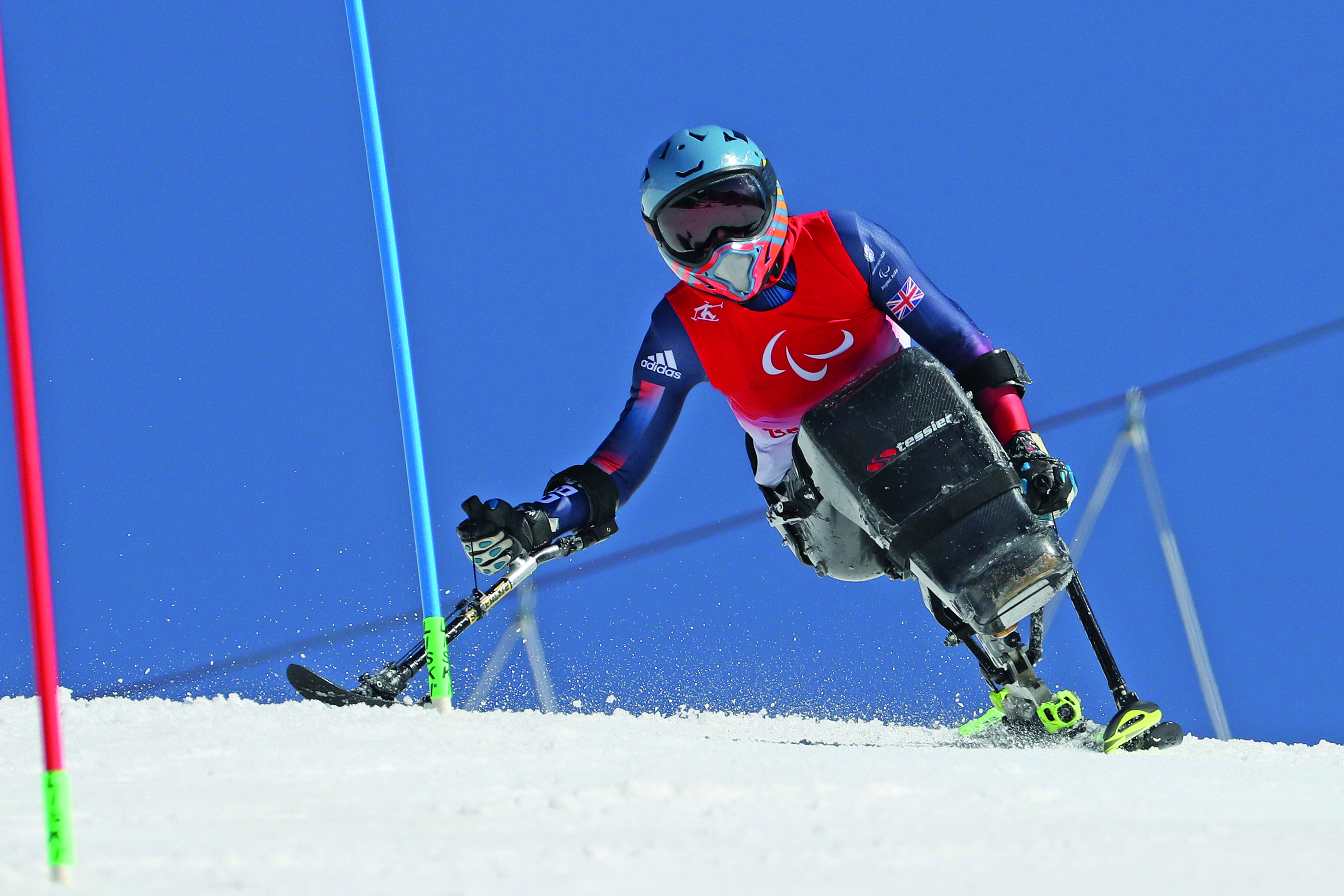 Skier uses mono-ski on the ski course.