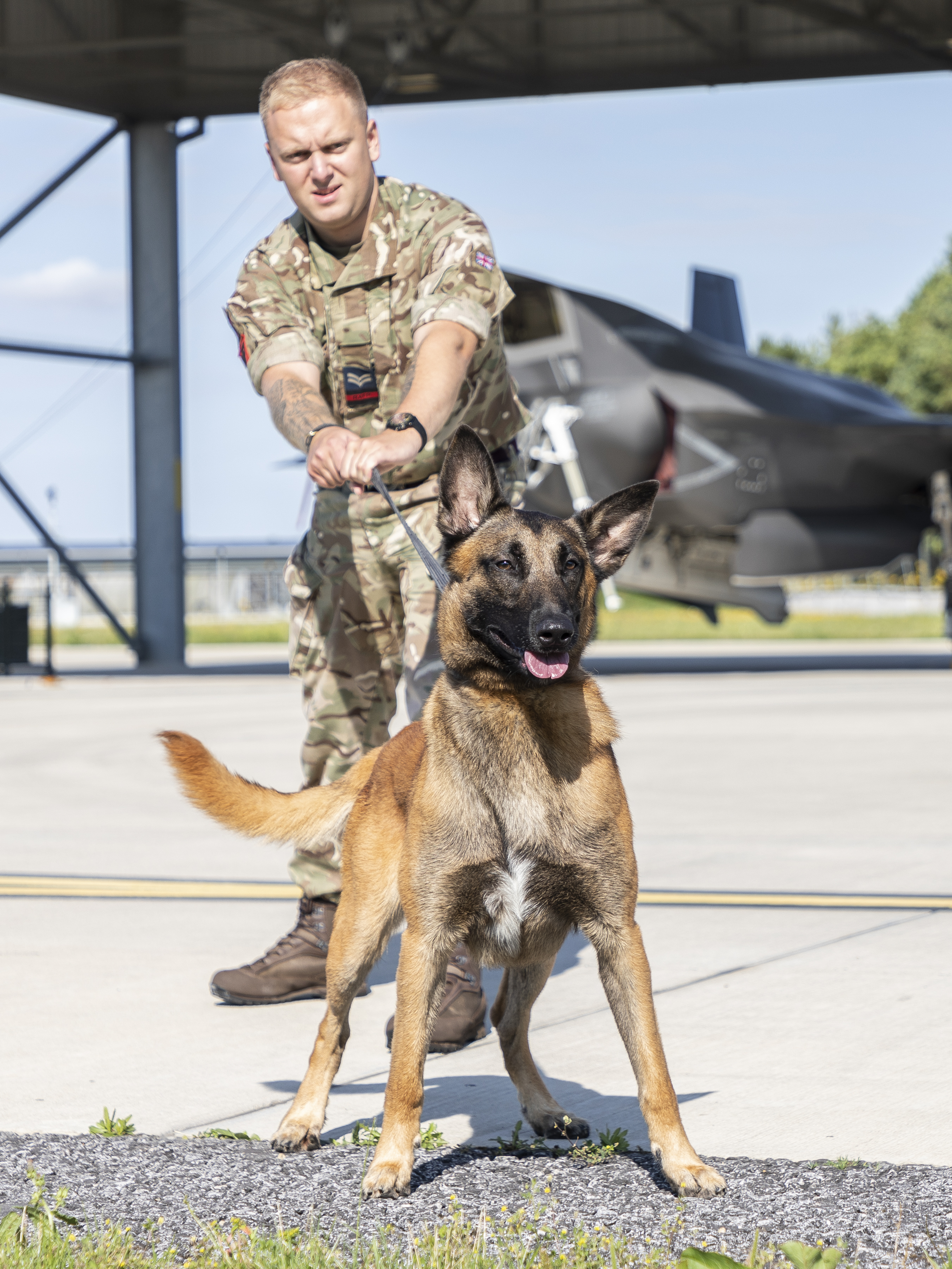 RAF Police Handler and dog with aircraft in background.