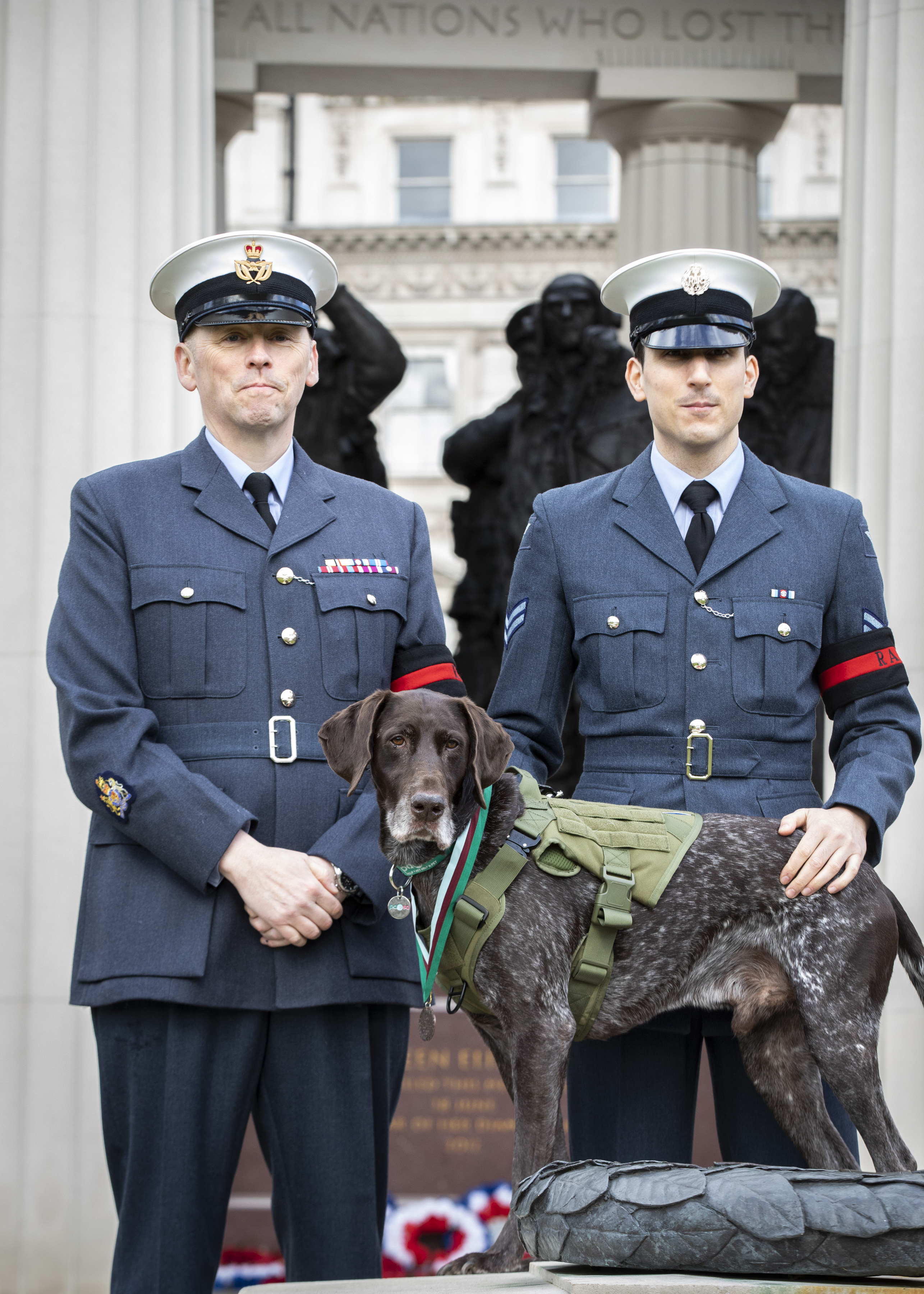 Personnel stand with dog wearing medal.
