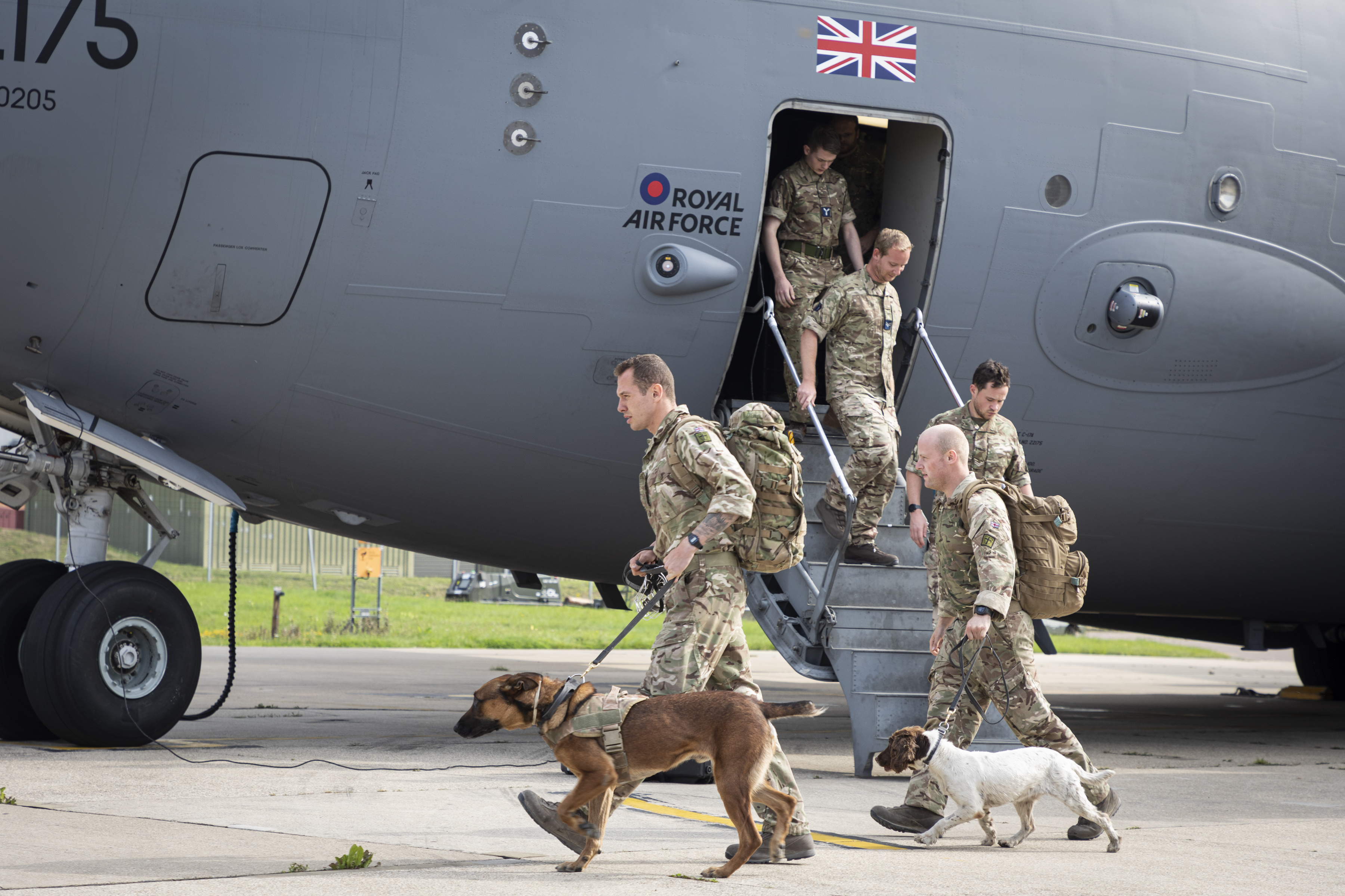 RAF Police and Working Dogs disembark from carrier aircraft.