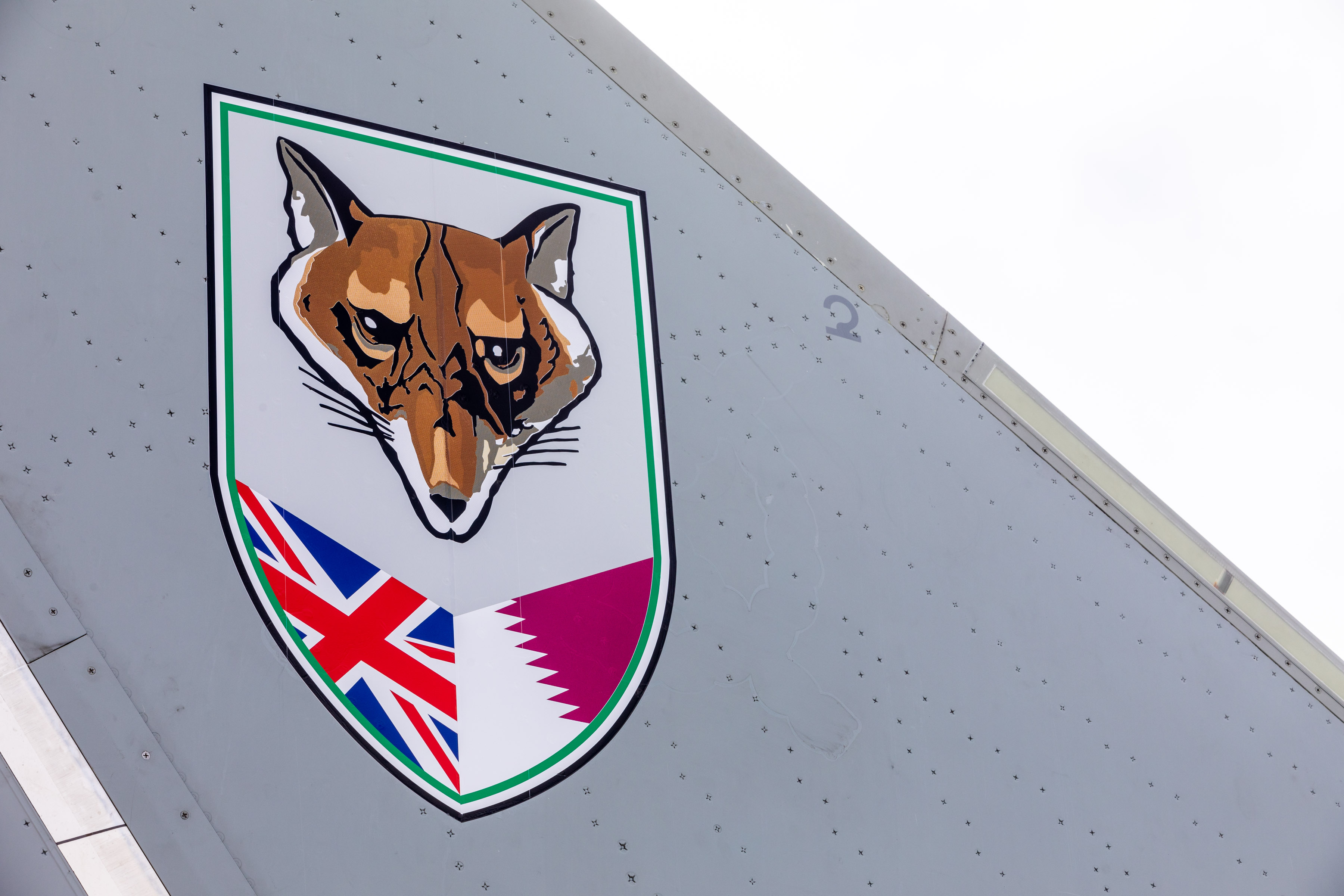 Image shows 12 Squadron crest on the wing of a Typhoon.
