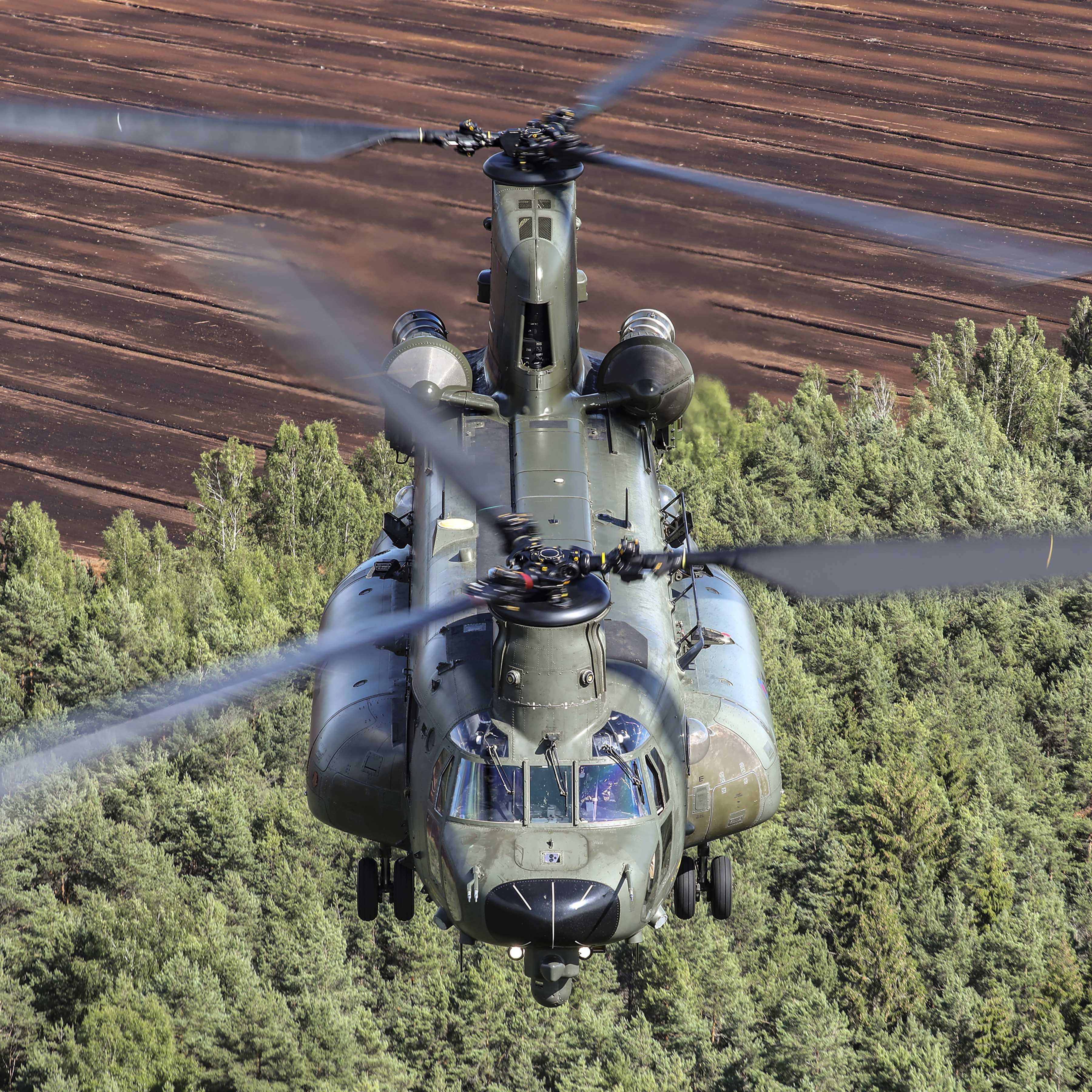 Image shows Chinook.flying over trees.