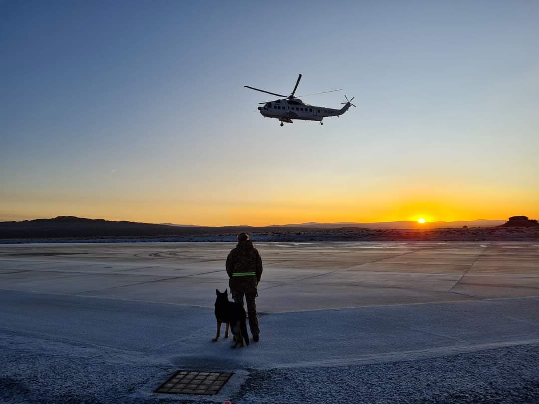Military Working Dog Handler team in the Falklands