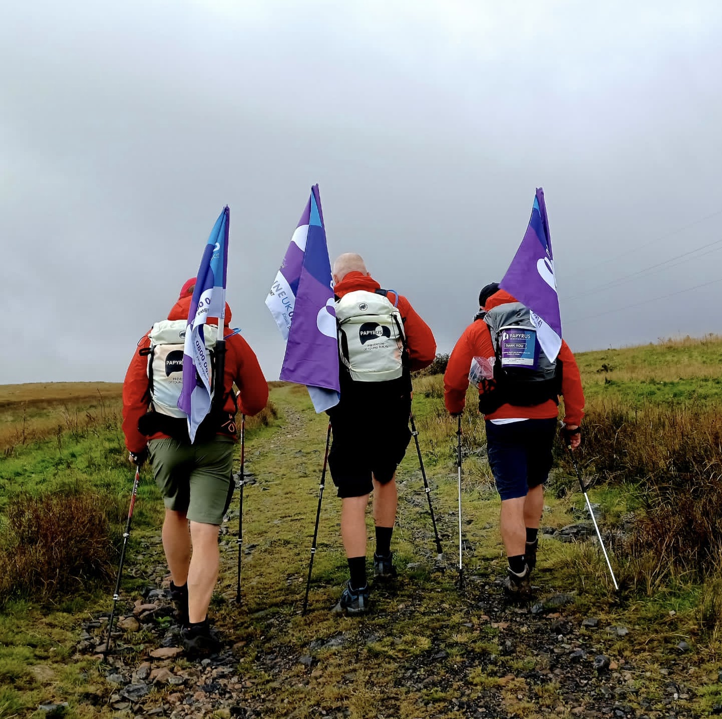Image shows three dads hiking with poles and flags.