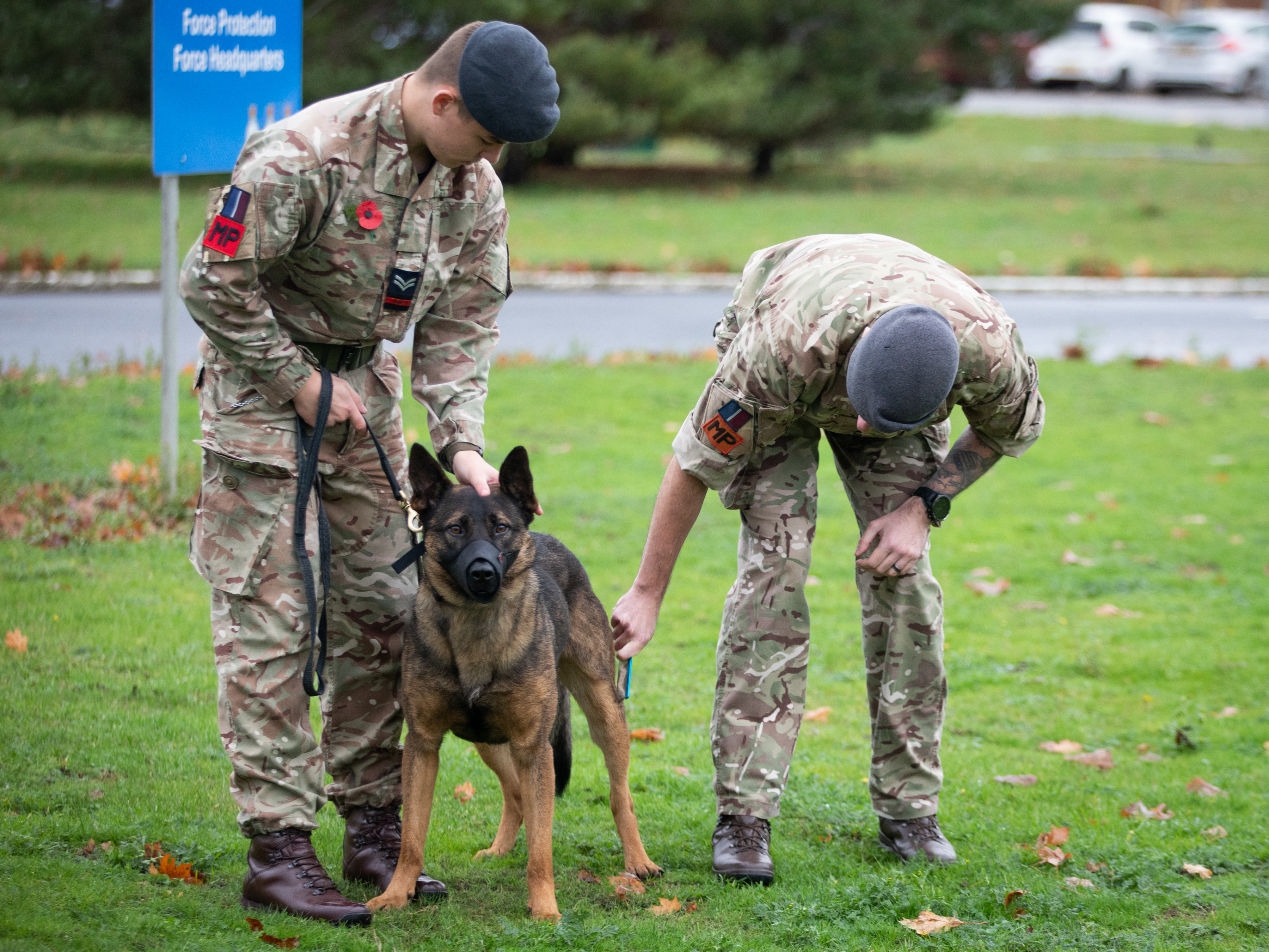 Image shows RAF Police with Military Working Dog.