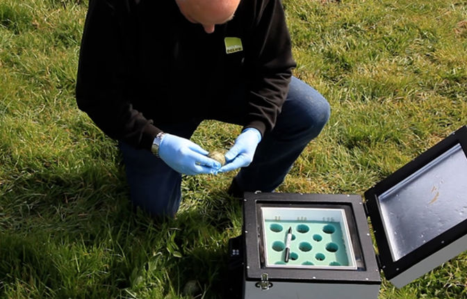 Image shows civilian collecting bird eggs for transferring in small incubation box.