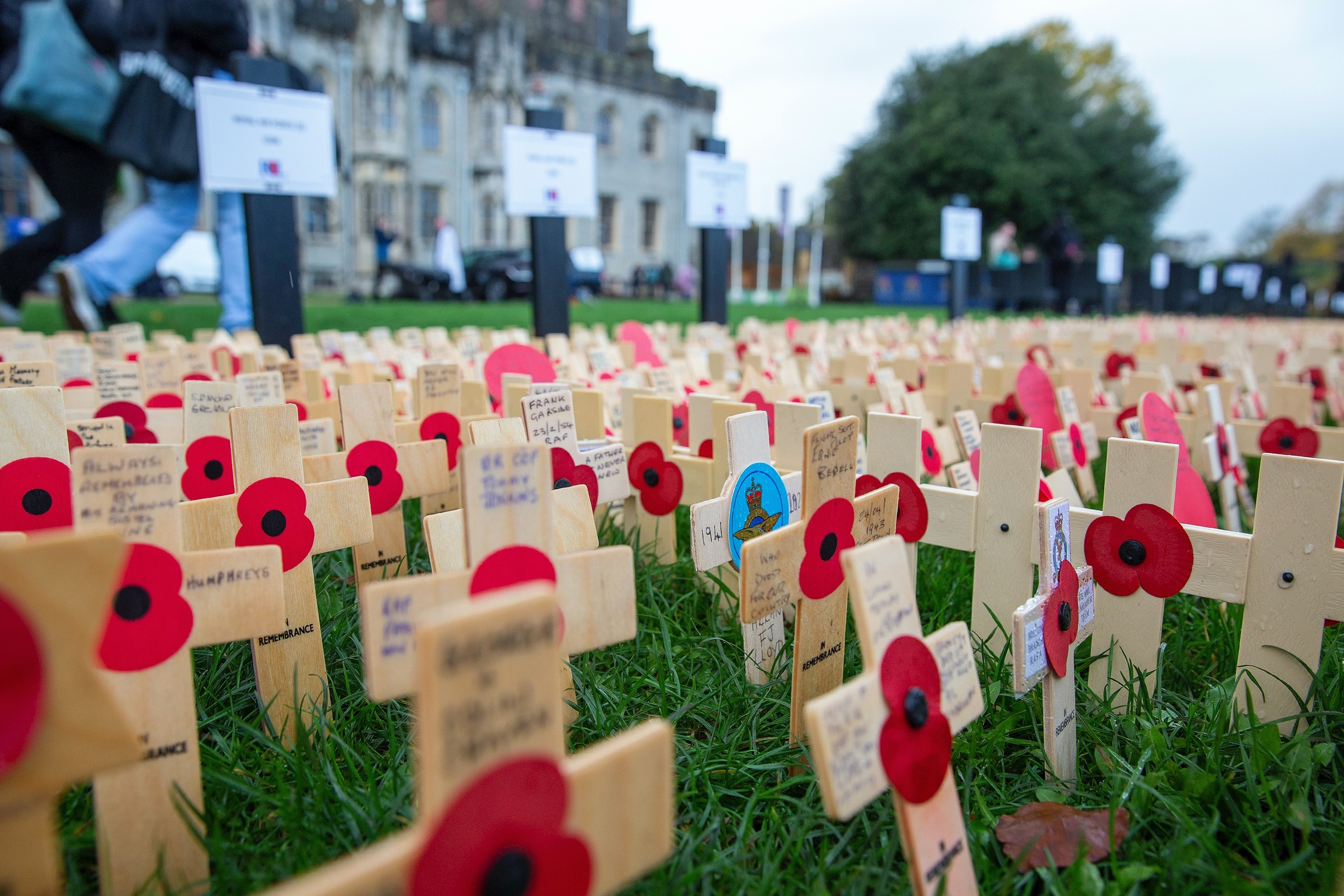 Image shows rows of poppy crosses in cemetery.