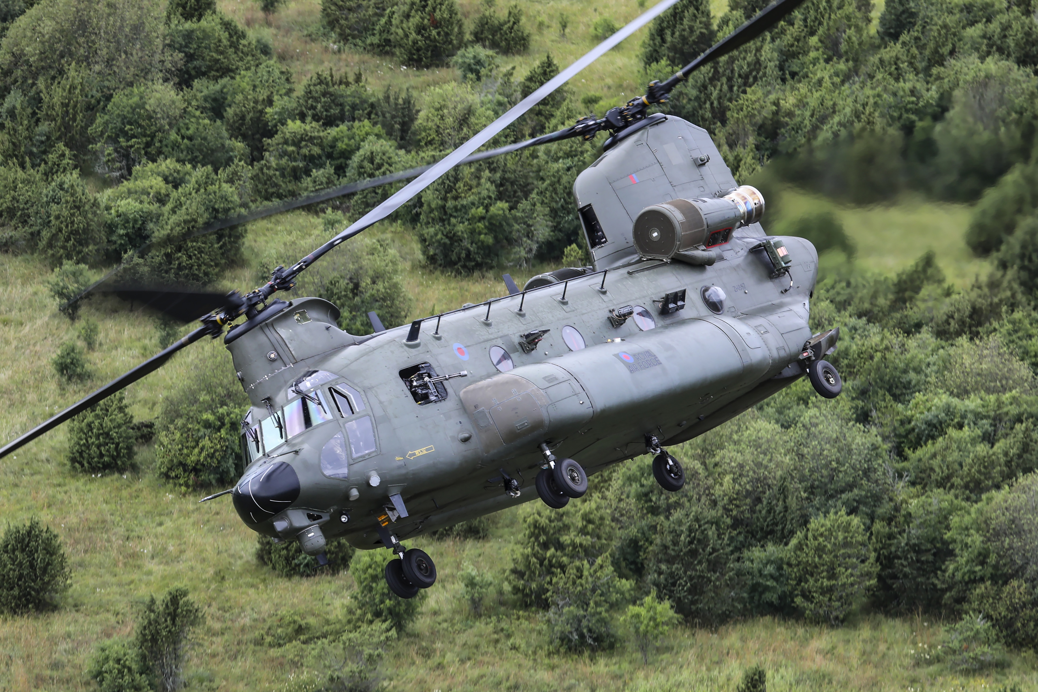 Image shows a RAF Chinook in flight over trees.