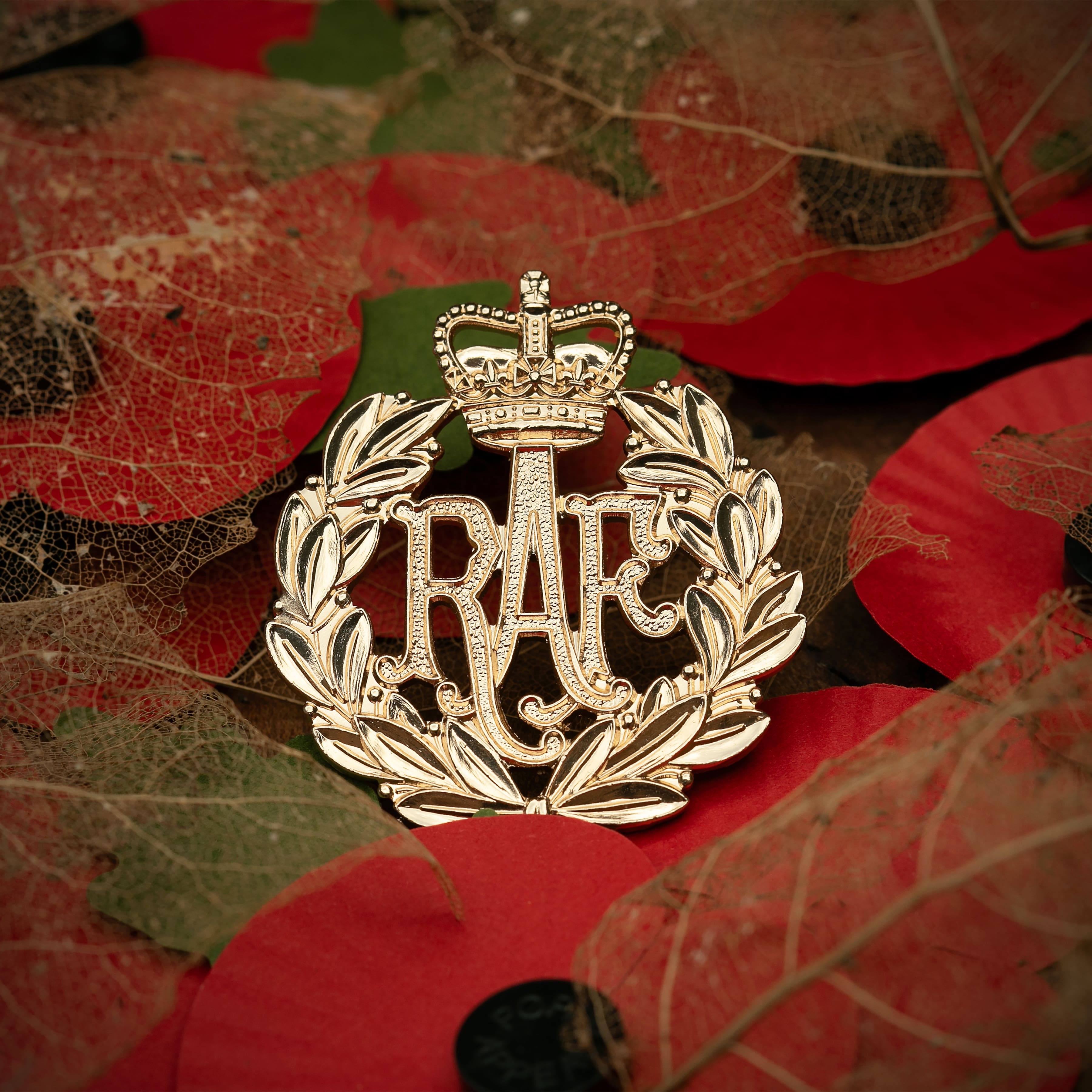 RAF cap badge on a back drop of poppies and leaves