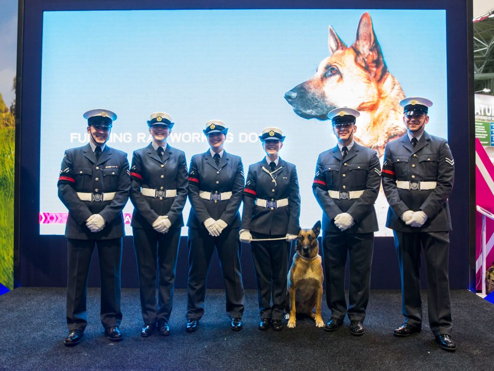 royal air force police dog demonstration team at crufts 2018