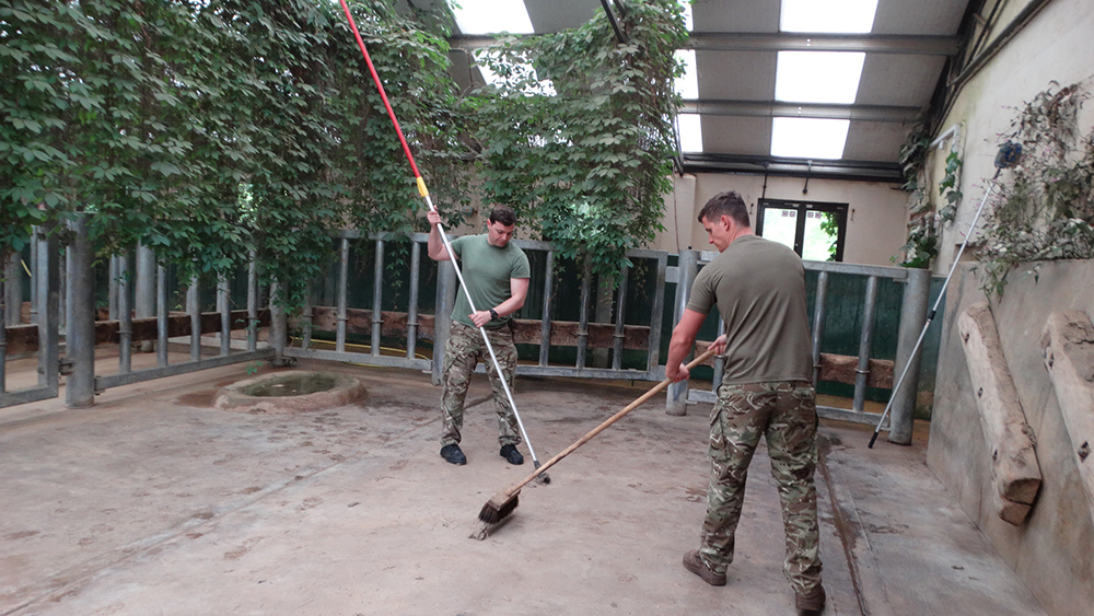 Personnel spent the morning clearing and cleaning the rhino house. Credit: Cotswold Wildlife Park
