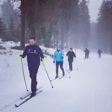 Cross-country skiers in snow.