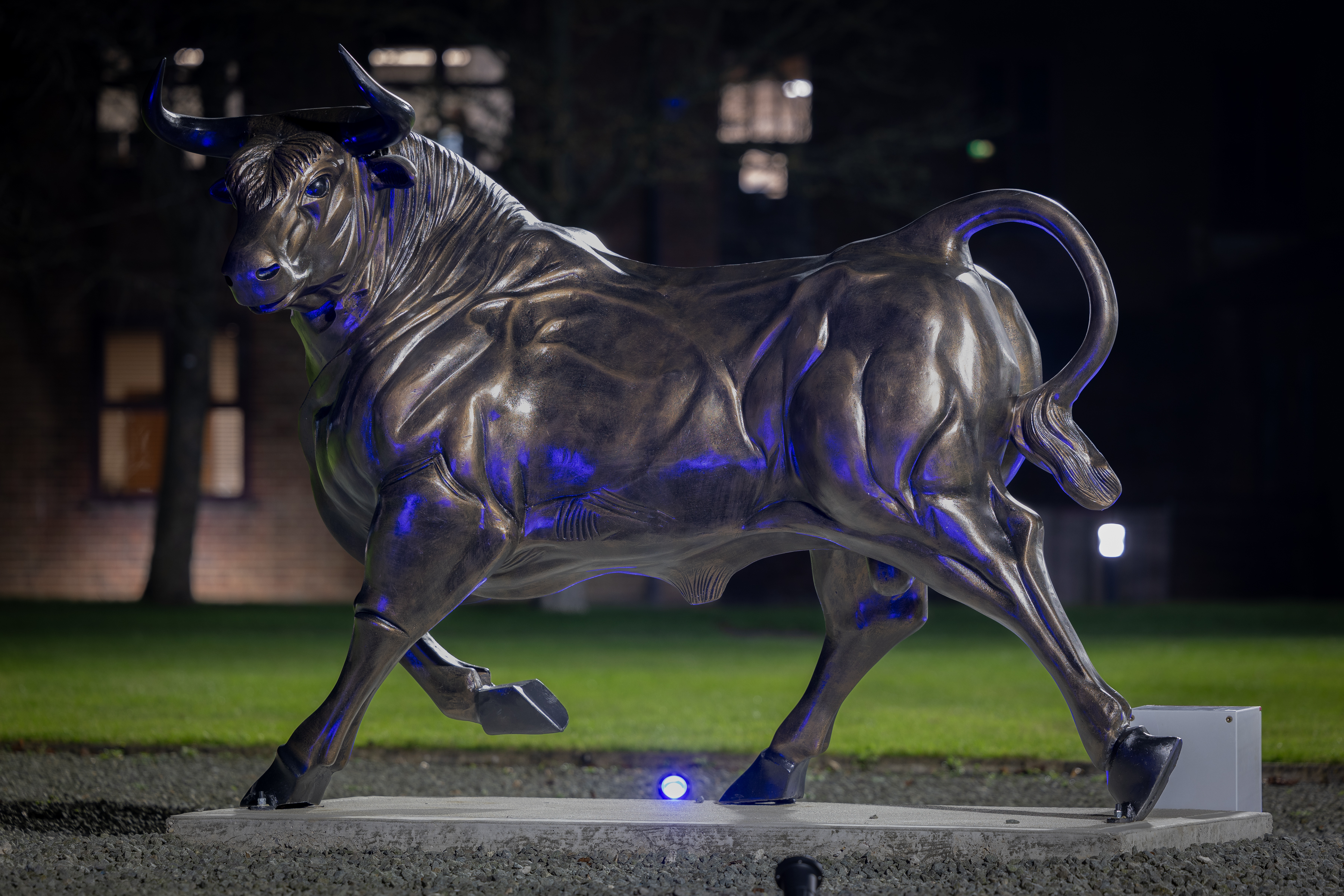 180kg Aluminium Raging Bull statue